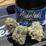 Wedding Cake by Alien labs