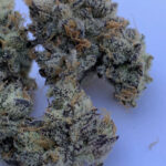 Blue Face