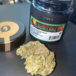 Lava Cake Hybrid