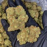 Church OG Famouski
