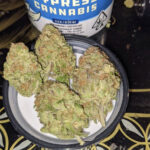 Garlic Grove by Next Green Wave (3.5 grams)