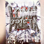 Loma Prieta Strain