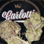Gaslotti Gas Mask (3.5 grams)