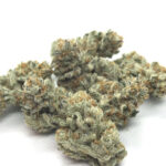 Girl Scout Cookies