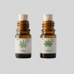 Hemp Oil Cookies