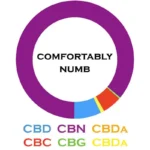 3Chi Delta 8 Comfortably Numb Tincture (600 mg Delta 8 THC, 600 mg CBN, 60 mg CBC) - Image 6