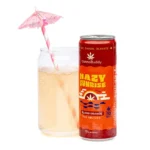 CannaBuddy Delta 9 THC Seltzer 6 Pack – Variety - Image 4