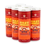 CannaBuddy Delta 9 THC Seltzer 6 Pack – Hazy Sunrise - Image 2
