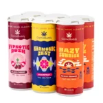 CannaBuddy Delta 9 THC Seltzer 6 Pack – Variety - Image 2