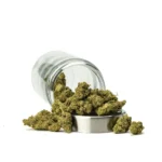 THCa Flower Mac 1 - Image 2