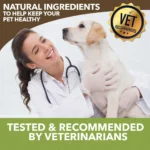 HolistaPet CBD Calming Soft Chews for Dogs (300 mg Total CBD) - Image 7