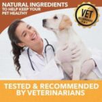HolistaPet CBD Mobility Soft Chews for Dogs (300 mg Total CBD) - Image 5