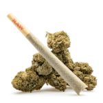 THCa Flower Pre-Roll Blue Guava - Image 2