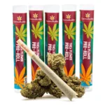 THCa Flower Pre-Roll Pineapple Express - Image 2
